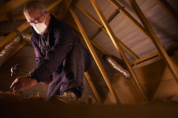 Best Insulation Maintenance and Repair in Ocean Grove, MA